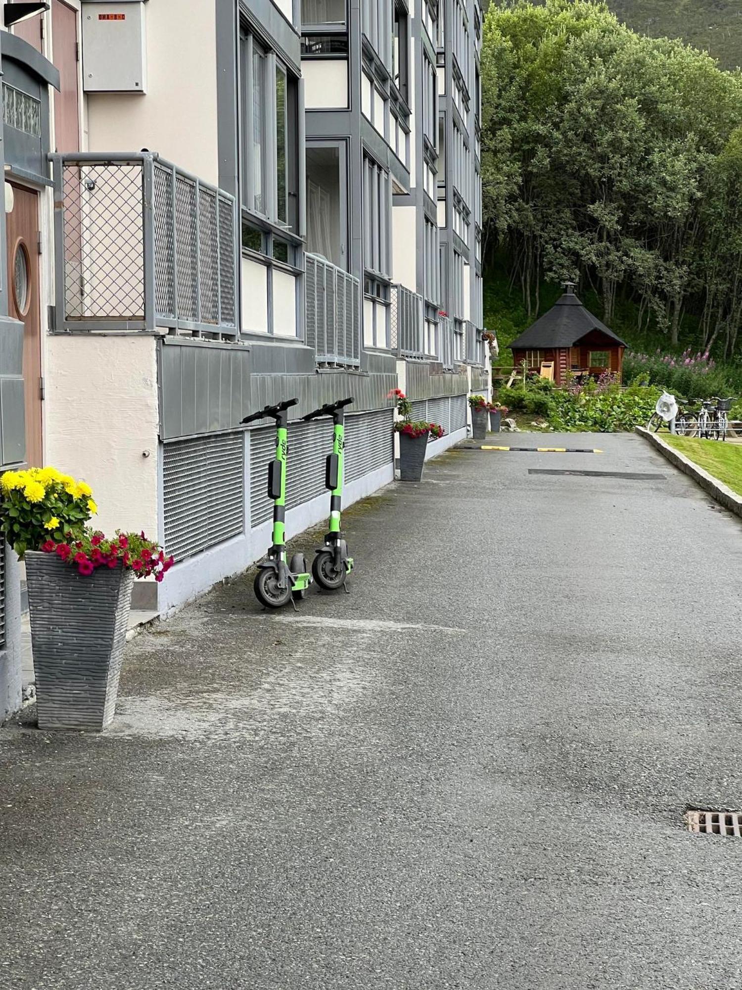 Arctic Inn, Cozy Single Bed Private Room In A Shared Apartment With Stunning Tromso Views 外观 照片